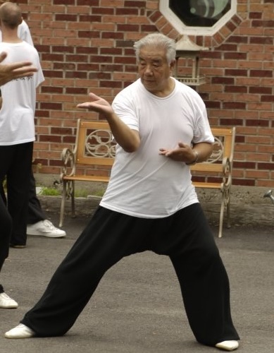 Master Liu ChengDe in Liu Feng Si Bi